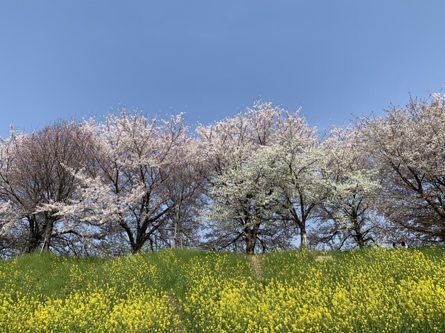 9AB7244F-5FB1-4B07-8FA4-F55B9D68C771