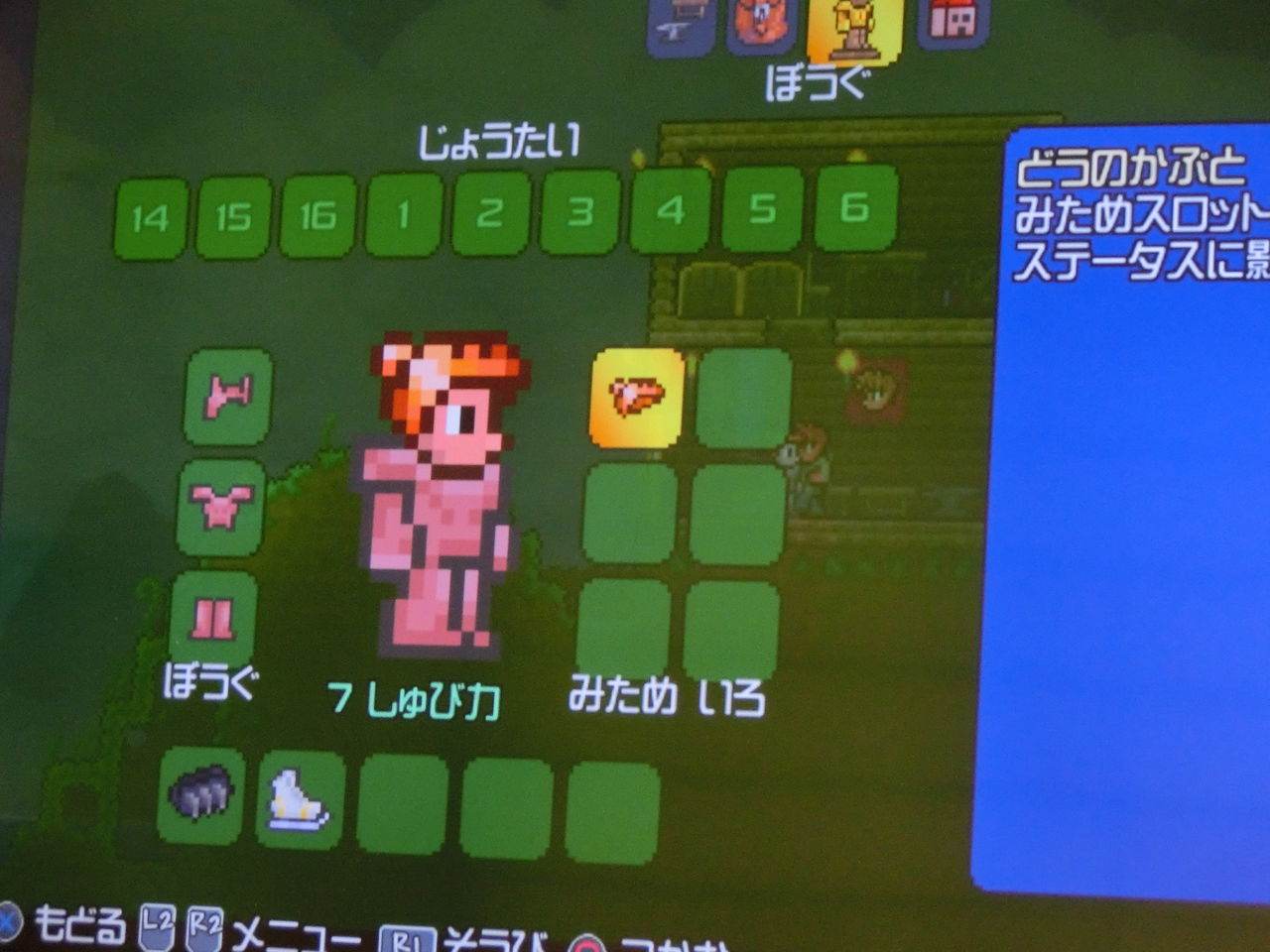 Knswtのテラリア伝 第４回 Knswtのテラリア伝