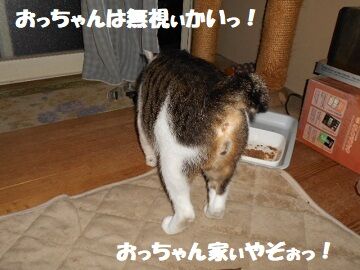 9月16日（21-5）仮