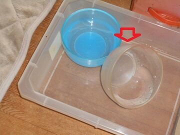 9月25日（7-5）仮