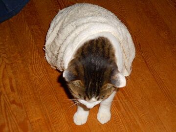 12月2日（21）仮