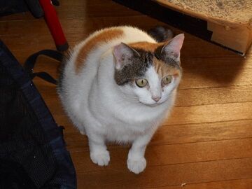 9月22日（6-8）仮