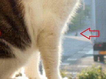 8月24日（24-2）仮