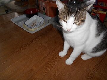 8月18日（14）仮