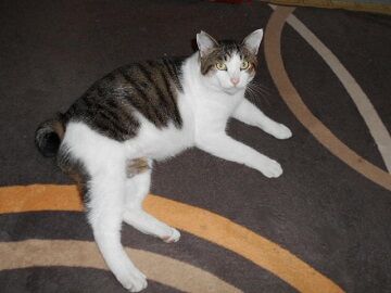 10月7日（13）仮