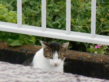 8月24日（48）使用