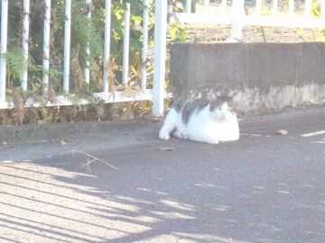 10月5日（39）使用