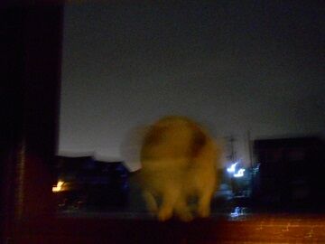 2月16日（58）仮