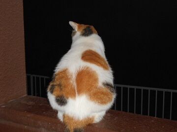 9月23日（21-5）仮