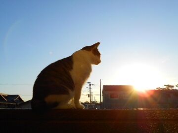 10月23日（33）仮