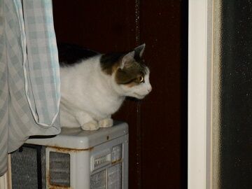 9月29日（20-5）仮