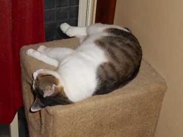 7月19日（47）仮