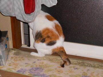 10月7日（22-19）仮