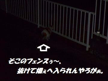 10月22日(22-8)仮