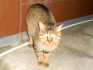 12月9日（42）仮