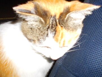 6月26日（13）仮