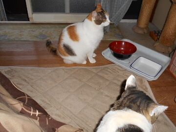 9月25日（6-7）仮