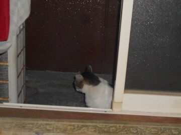 9月11日（5-3）仮