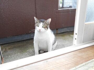 6月26日（27）仮