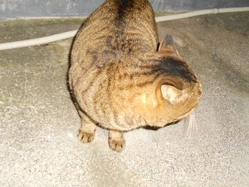 12月13日（59）仮