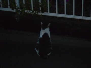 9月27日（5-15）仮