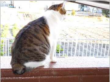 12月23日（11）仮