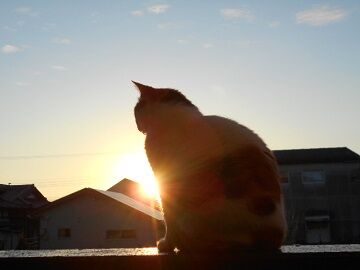 9月15日（22）仮