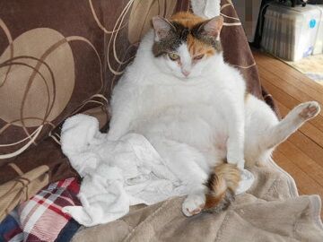 6月23日（24）仮