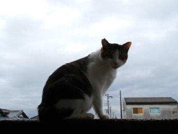 10月15日（1）仮