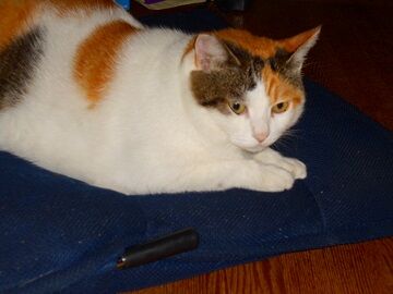 10月22日（2）仮