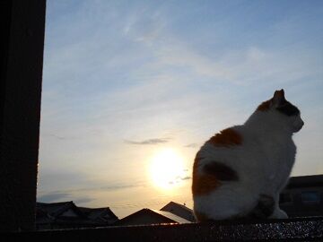 4月12日（12）仮