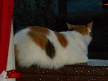 9月13日（5-3）仮