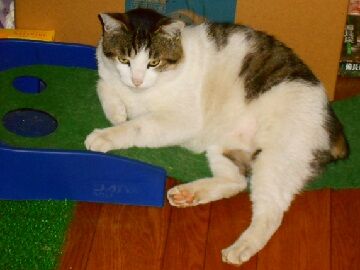 5月20日（48）仮