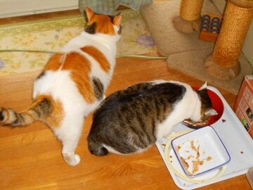 10月26日（13）仮