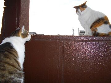 5月28日（23）仮