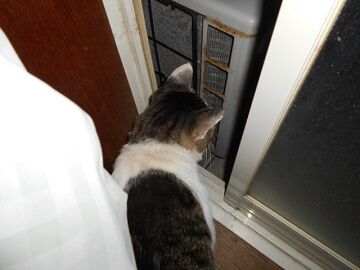 9月23日（22-7）仮