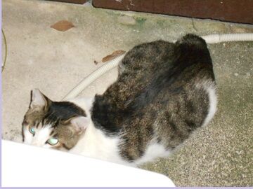 7月21日（29）仮