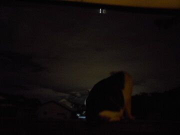 9月23日（22-15）仮