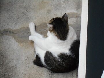 9月15日（14-8）仮