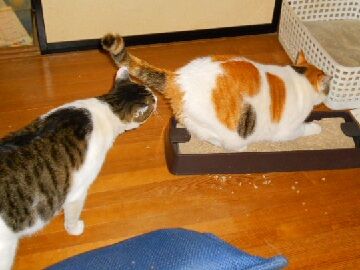 12月9日（35）仮