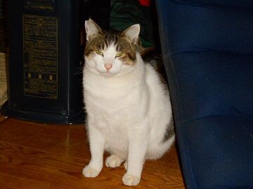 12月13日（54）仮