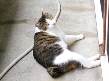 10月21日（21）仮