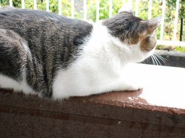 8月28日（82）仮