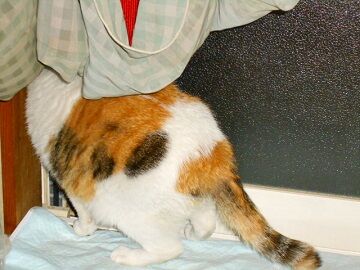 6月14日（72）仮