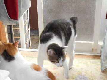 9月16日（10-8）仮