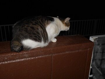 9月26日（22-3）仮