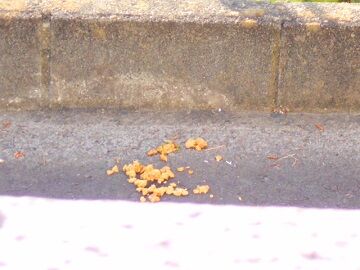 5月15日（29）仮