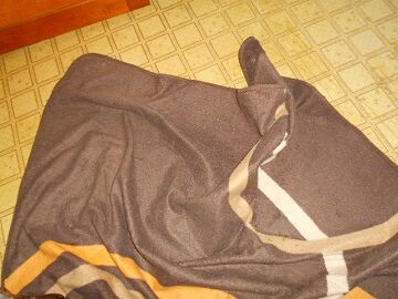 10月21日（17）仮