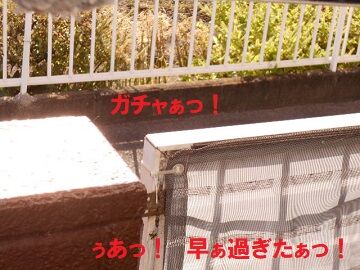 10月7日（8-2）仮