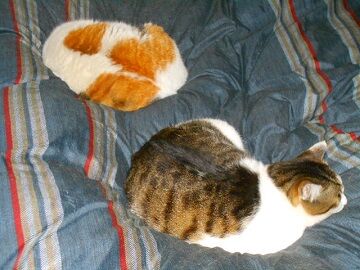 4月13日（59）仮